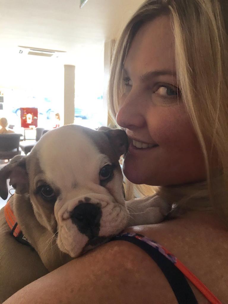 mr darcy's doggy day care