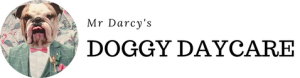 Mr Darcy's Doggy Day Care