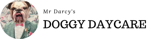 Mr Darcy's Doggy Day Care