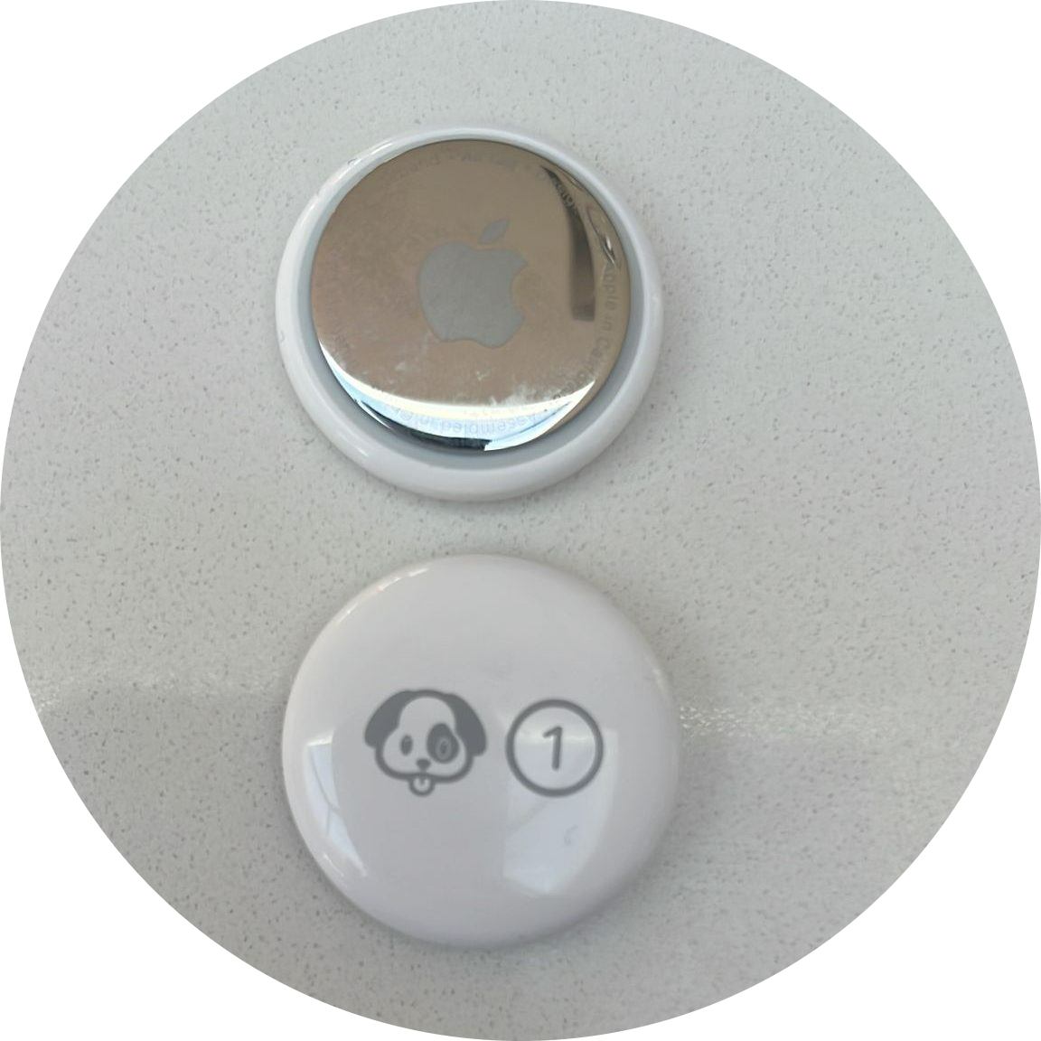 Mr Darcys Doggy Day Care Air Tags