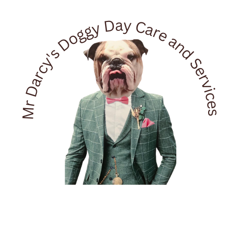 Copy of Mr Darcy’s Doggy Day Care and Services Licensed (To Play ) – 063004